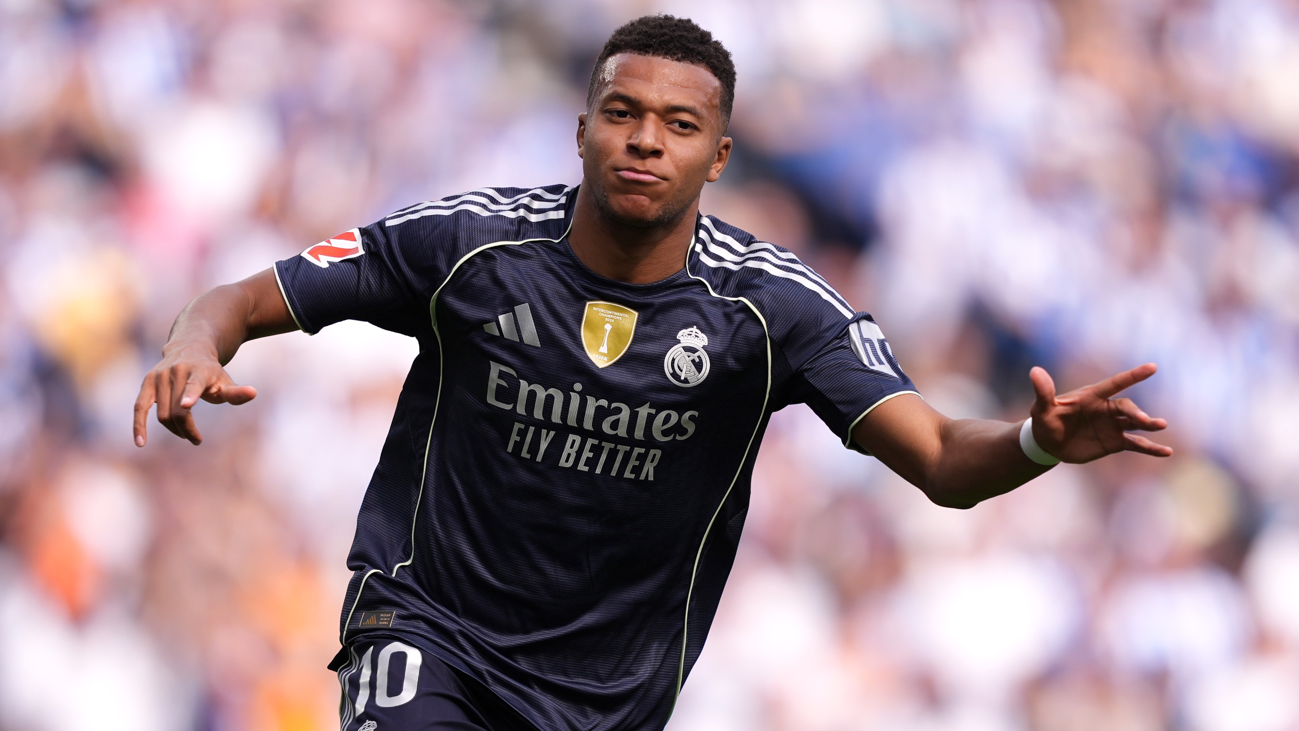 的审美价值 的审美价值